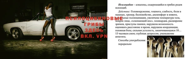 каннабис Горно-Алтайск