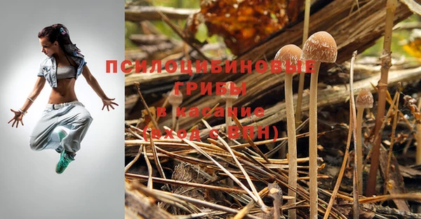 скорость mdpv Горняк