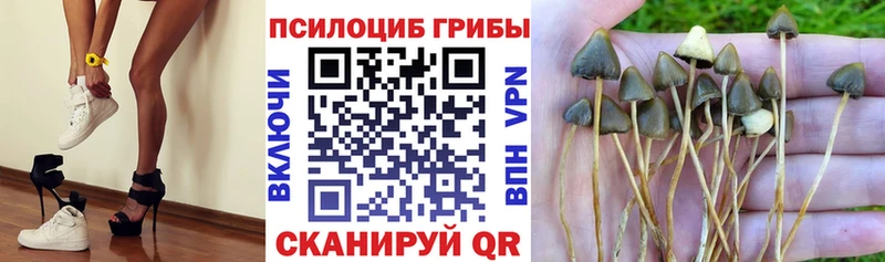 Галлюциногенные грибы GOLDEN TEACHER  Купить где  Кинешма 